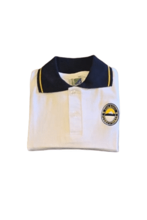 POLERA CLASE M/C COLEGIO PUERTO VARAS (Amundsen)